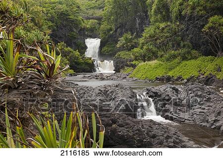 Hawaii, Maui, Hana, Seven Sacred Pools, a large stream and waterfalls. View Large Photo Image Stock Photography - Hawaii, Maui, Hana, Seven Sacred Pools, a large stream and waterfalls.. Fotosearch
