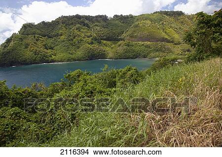 Hawaii, Maui, Hana, The lush coastal road to Hana. View Large Photo Image Picture - Hawaii, Maui, Hana, The lush coastal road to Hana.. Fotosearch
