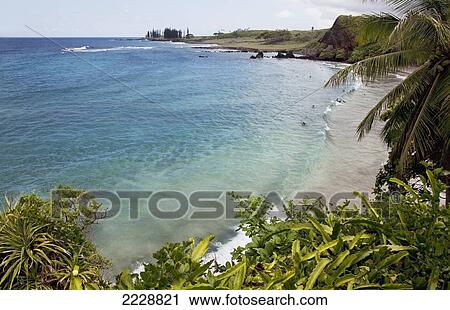 Stock Image - Hawaii, Maui, Hana, The Lush Hamoa Beach Surrounded By Palm Trees And Lush Green Foliage.. Fotosearch