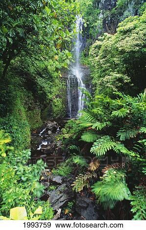 Stock Photo - Hawaii, Maui, Hana, Wailua Falls Surrounded By Lush Greenery. Fotosearch