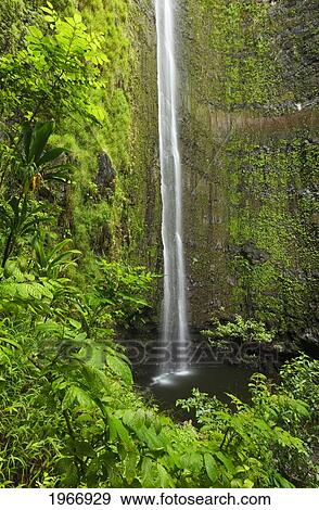 Stock Photo - Hawaii, Maui, Hana, Waimoku Falls, Lush Waterfall In Haleakala National Park.. Fotosearch