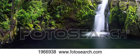 Stock Photo - Hawaii, Maui, Hidden Waterfall Near Hana Highway. Fotosearch