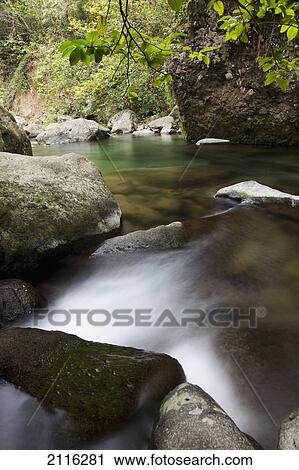 Hawaii, Maui, Iao River Valley. View Large Photo Image Stock Image - Hawaii, Maui, Iao River Valley.. Fotosearch