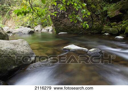 Hawaii, Maui, Iao River Valley. View Large Photo Image Stock Photo - Hawaii, Maui, Iao River Valley.. Fotosearch