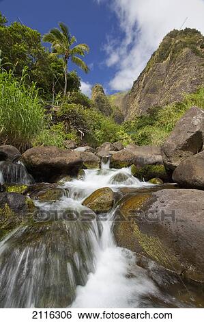 Stock Photograph - Hawaii, Maui, Iao River Valley waterfall.. Fotosearch