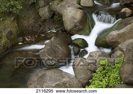 Hawaii, Maui, Iao River Valley waterfall. View Large Photo Image Stock Photography - Hawaii, Maui, Iao River Valley waterfall.. Fotosearch
