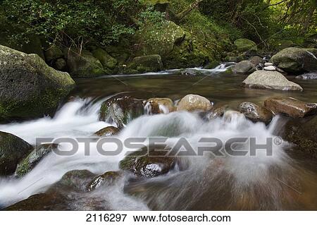 Stock Photo - Hawaii, Maui, Iao River Valley stream in motion.. Fotosearch