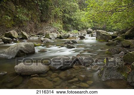 Hawaii, Maui, Iao River Valley, water in motion. View Large Photo Image Picture - Hawaii, Maui, Iao River Valley, water in motion.. Fotosearch