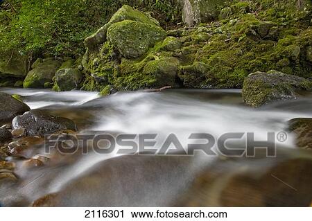 Hawaii, Maui, Iao River Valley, water in motion. View Large Photo Image Stock Image - Hawaii, Maui, Iao River Valley, water in motion.. Fotosearch