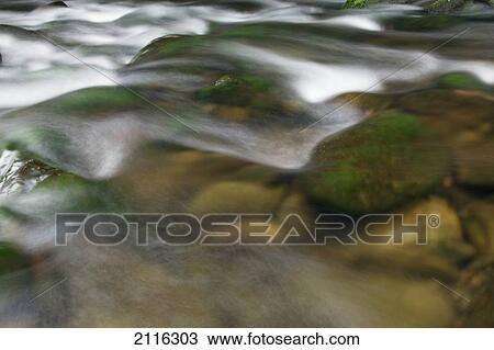 Hawaii, Maui, Iao River Valley, water in motion. View Large Photo Image Stock Image - Hawaii, Maui, Iao River Valley, water in motion.. Fotosearch