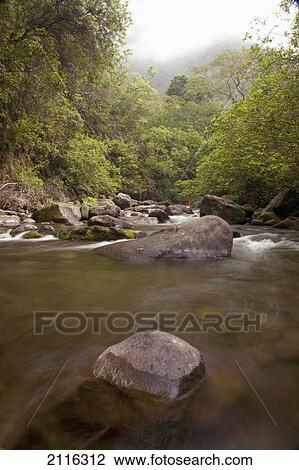 Hawaii, Maui, Iao River Valley, water in motion. View Large Photo Image Stock Image - Hawaii, Maui, Iao River Valley, water in motion.. Fotosearch