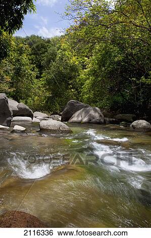 Hawaii, Maui, Iao Valley, A colorful view of the Iao River with sun. View Large Photo Image Stock Photograph - Hawaii, Maui, Iao Valley, A colorful view of the Iao River with sun.. Fotosearch