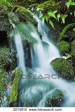 Stock Image - Hawaii, Maui, Iao Valley, Beautiful lush stream flowing over mossy rocks.. Fotosearch