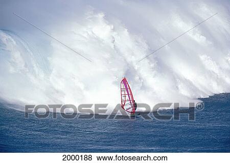 Hawaii, Maui, Jaws, Huge Wave Crashing Behind A Windsurfer View Large Photo Image Stock Photo - Hawaii, Maui, Jaws, Huge Wave Crashing Behind A Windsurfer. Fotosearch