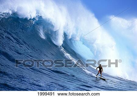 Hawaii, Maui, Jaws, Sierra Emory Looks At Camera, In Front Of Large Wave View Large Photo Image Stock Image - Hawaii, Maui, Jaws, Sierra Emory Looks At Camera, In Front Of Large Wave. Fotosearch
