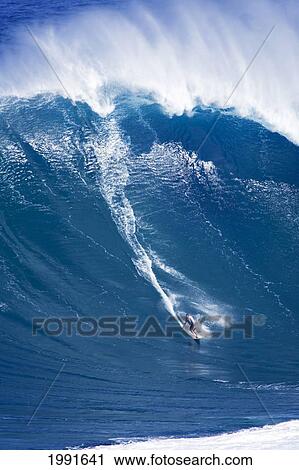 Hawaii, Maui, Jorge Martinez Surfs Huge Wave At Jaws Aka Peahi. View Large Photo Image Stock Image - Hawaii, Maui, Jorge Martinez Surfs Huge Wave At Jaws Aka Peahi.. Fotosearch