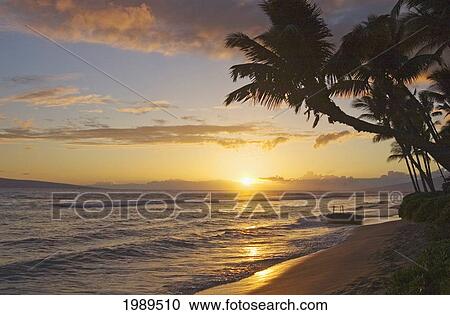 Stock Image - Hawaii, Maui, Kaanapali Resort, Sunset With Beach And Palm Trees.. Fotosearch