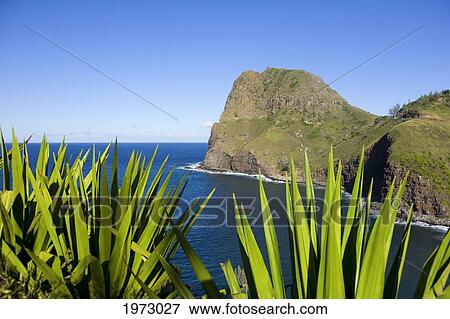Stock Photo - Hawaii, Maui, Kahakuloa Head With Century Plants In Foreground.. Fotosearch