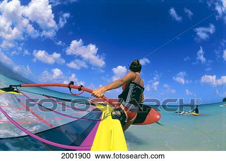 Hawaii, Maui, Kanaha, Mast Mount View As Samantha Batt About To Enter Shoreline Water, View From Behind, Blue Sky View Large Photo Image Stock Image - Hawaii, Maui, Kanaha, Mast Mount View As Samantha Batt About To Enter Shoreline Water, View From Behind, Blue Sky. Fotosearch