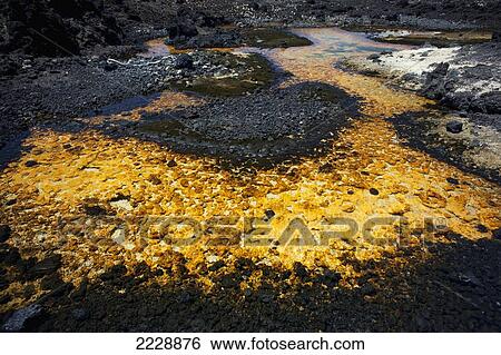 Hawaii, Maui, Kanaio, Pond Along The Rocky Kanaio Coast. View Large Photo Image Stock Photograph - Hawaii, Maui, Kanaio, Pond Along The Rocky Kanaio Coast.. Fotosearch