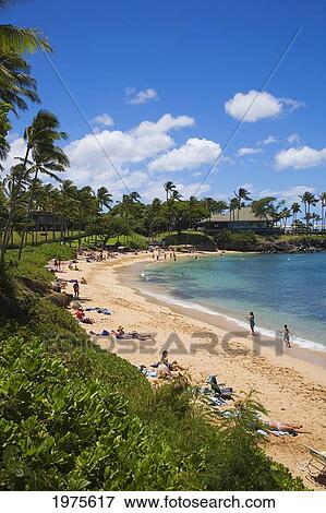 Hawaii, Maui, Kapalua Beach Resort. View Large Photo Image Stock Photo - Hawaii, Maui, Kapalua Beach Resort.. Fotosearch