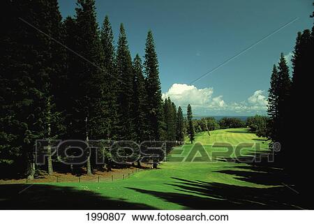 Stock Photo - Hawaii, Maui, Kapalua Golf Club Village Course. Fotosearch