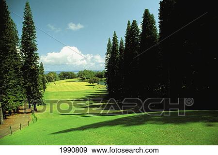 Hawaii, Maui, Kapalua Golf Club Village Course View Large Photo Image Stock Photo - Hawaii, Maui, Kapalua Golf Club Village Course. Fotosearch