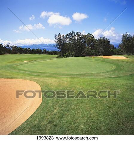 Hawaii, Maui, Kapalua Golf Course, Village Course, Fairway Along The Ocean. View Large Photo Image Stock Image - Hawaii, Maui, Kapalua Golf Course, Village Course, Fairway Along The Ocean.. Fotosearch
