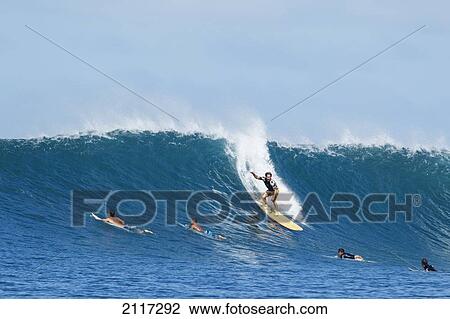 Hawaii, Maui, Kapalua, One of many surfers catches a wave at Honolua Bay. EDITORIAL USE ONLY. View Large Photo Image Stock Image - Hawaii, Maui, Kapalua, One of many surfers catches a wave at Honolua Bay. EDITORIAL USE ONLY.. Fotosearch
