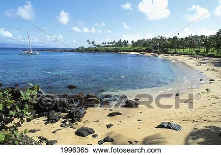 Hawaii, Maui, Kapalua Resort Beach With Snorkelers, Sailboat Anchored In Bay View Large Photo Image Stock Photography - Hawaii, Maui, Kapalua Resort Beach With Snorkelers, Sailboat Anchored In Bay. Fotosearch