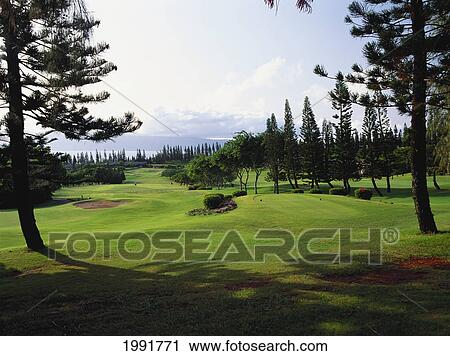 Stock Image - Hawaii, Maui, Kapalua Resort Golf Club Bay Course, Hole #18. Fotosearch