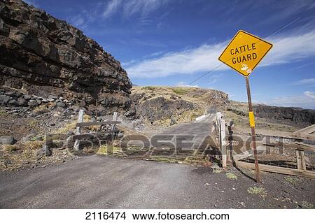 Picture - Hawaii, Maui, Kaupo, A cow grate on a back country road.. Fotosearch