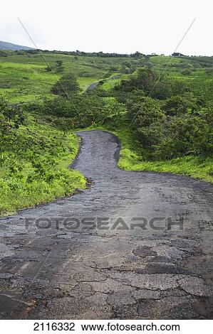 Stock Image - Hawaii, Maui, Kaupo, A rough winding road through lush countryside. Fotosearch