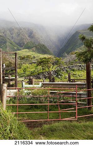 Picture - Hawaii, Maui, Kaupo, A view of waterfalls behind a medley of farm fence. Fotosearch