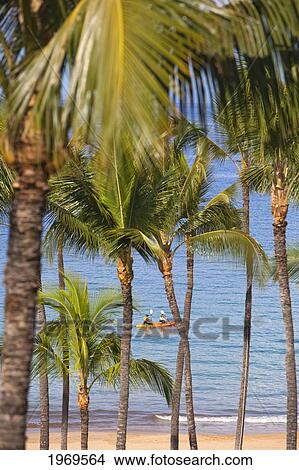 Picture - Hawaii, Maui, Kayakers Off Grand Wailea Resort.. Fotosearch