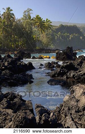 Stock Image - Hawaii, Maui, Keanae Peninsula, Ocean and palm trees.. Fotosearch