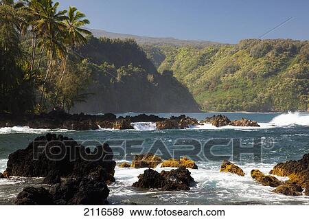 Hawaii, Maui, Keanae Peninsula, Ocean and palm trees. View Large Photo Image Stock Photo - Hawaii, Maui, Keanae Peninsula, Ocean and palm trees.. Fotosearch