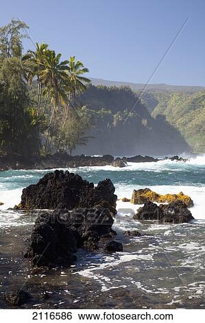 Stock Photograph - Hawaii, Maui, Keanae Peninsula, Ocean and palm trees.. Fotosearch