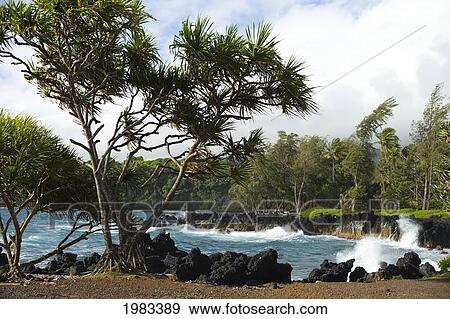 Stock Photo - Hawaii, Maui, Keanae Peninsula, Surf Pounding Against Rocks.. Fotosearch