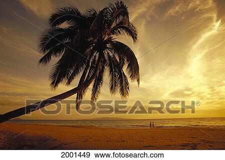 Stock Photo - Hawaii, Maui, Kihei, Kamaole Beach Scenic With Couple Distance At Sunset, Shoreline Golden Wispy Clouds Palm Tree. Fotosearch