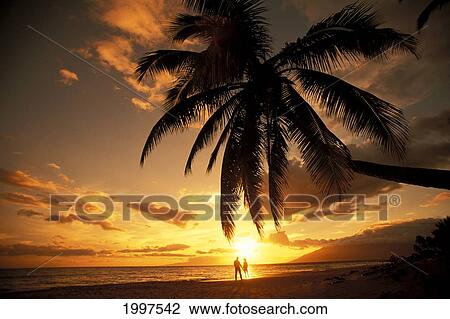 Hawaii, Maui, Kihei, Kamaole One, Distant View Of Couple Walking Along Beach At Sunset View Large Photo Image Stock Image - Hawaii, Maui, Kihei, Kamaole One, Distant View Of Couple Walking Along Beach At Sunset. Fotosearch