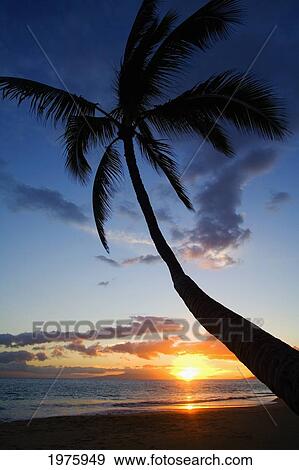 Stock Photo - Hawaii, Maui, Kihei, Sunset At Kamaole Beach One.. Fotosearch