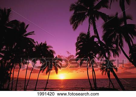 Stock Image - Hawaii, Maui, Kihei, Sunset At Keawekapu Beach. Fotosearch