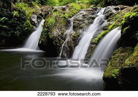 Stock Image - Hawaii, Maui, Kipahulu, Hahalawe Falls In Lush Kipahulu. Fotosearch