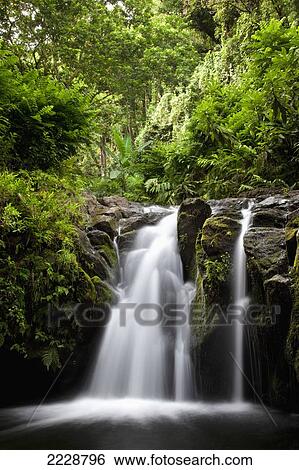 Hawaii, Maui, Kipahulu, Hahalawe Falls In Lush Kipahulu View Large Photo Image Stock Photograph - Hawaii, Maui, Kipahulu, Hahalawe Falls In Lush Kipahulu. Fotosearch