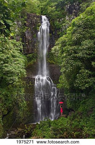 Stock Image - Hawaii, Maui, Kipahulu, Hana Coast, Woman Stands With Umbrella At Wailua Falls Surrounded By Foliage.. Fotosearch