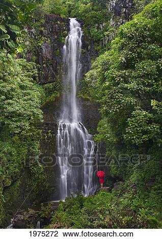 Stock Image - Hawaii, Maui, Kipahulu, Hana Coast, Woman Stands With Umbrella At Wailua Falls Surrounded By Foliage.. Fotosearch