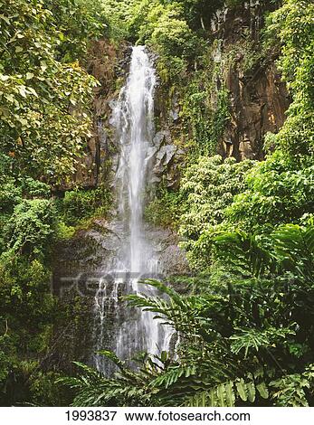 Hawaii, Maui, Kipahulu, Hana Coast, Wailua Falls Surrounded By Foliage. View Large Photo Image Stock Photo - Hawaii, Maui, Kipahulu, Hana Coast, Wailua Falls Surrounded By Foliage.. Fotosearch