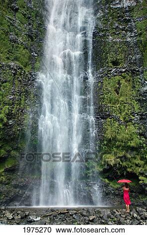 Hawaii, Maui, Kipahulu, Hana, Woman Stands With Umbrella At The Base Of Waterfall. View Large Photo Image Stock Image - Hawaii, Maui, Kipahulu, Hana, Woman Stands With Umbrella At The Base Of Waterfall.. Fotosearch