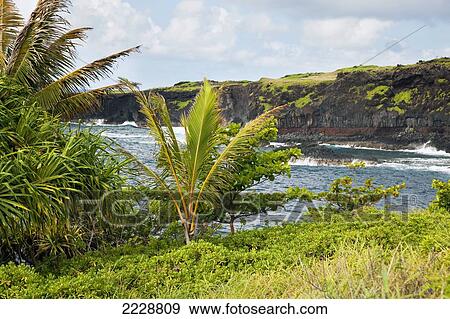 Stock Photo - Hawaii, Maui, Kipahulu, The Lush Coastline Of Kipahulu.. Fotosearch